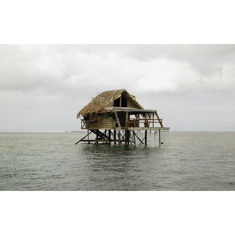 Tablou canvas Peisaj 465, 100x70 cm