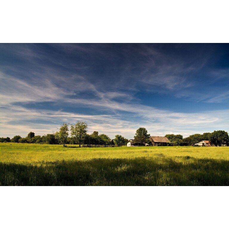 Tablou canvas Peisaj 418, 50x35 cm