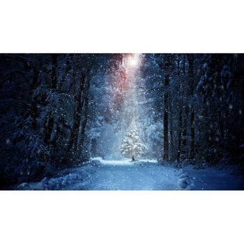 Tablou canvas Peisaj 480, 75x50 cm Tablou canvas Peisaj 480, 75x50 cm