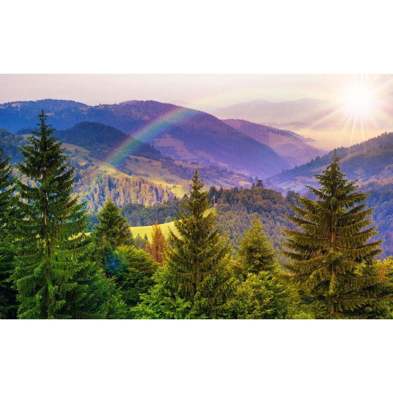 Tablou canvas Peisaj 487, 100x70 cm