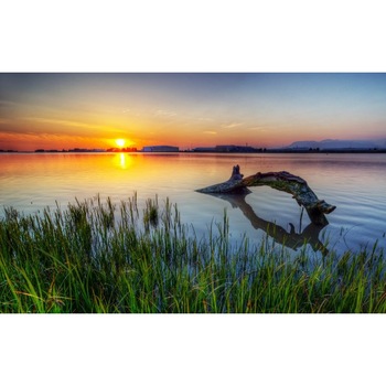 Fototapet autoadeziv Peisaj 454, 70x105 cm Fototapet autoadeziv Peisaj 454, 70x105 cm