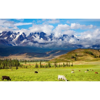 Tablou canvas Peisaj 416, 50x90 cm Tablou canvas Peisaj 416, 50x90 cm