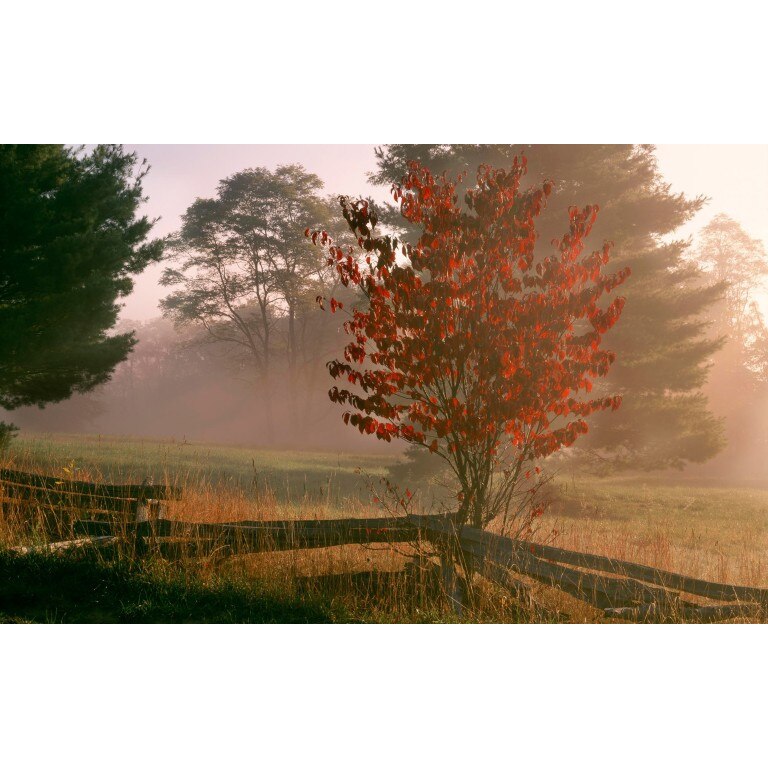 Tablou canvas Peisaj 450, 75x50 cm