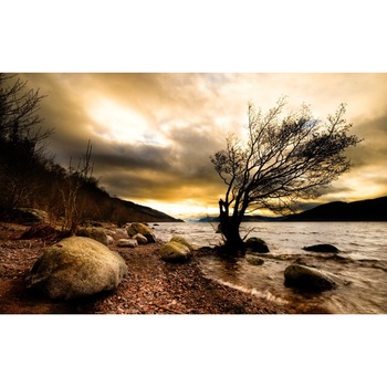 Fototapet autoadeziv Peisaj 428, 75x100 cm Fototapet autoadeziv Peisaj 428, 75x100 cm