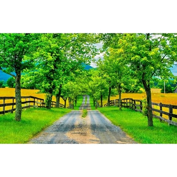 Tablou canvas Peisaj 491, 75x50 cm Tablou canvas Peisaj 491, 75x50 cm