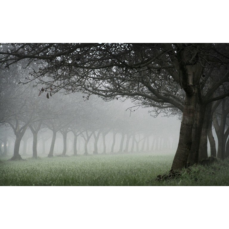 Tablou canvas Peisaj 422, 100x70 cm