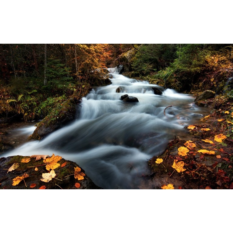 Tablou canvas Peisaj 499, 75x50 cm