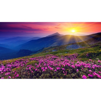 Tablou canvas Peisaj 423, 75x50 cm Tablou canvas Peisaj 423, 75x50 cm