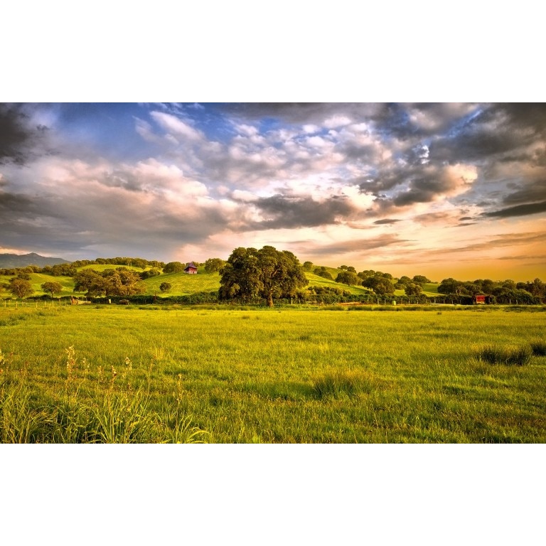 Tablou canvas Peisaj 474, 50x90 cm