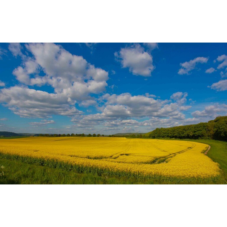 Tablou canvas Peisaj 464, 50x90 cm