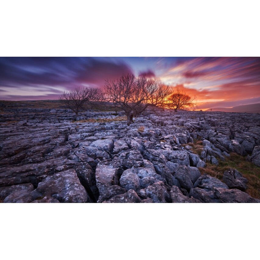 Tablou canvas Peisaj 401, 50x90 cm