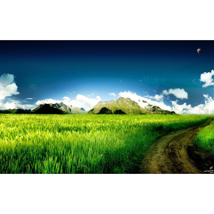 PERSONA Öntapadós tapéta, 100x150 cm, Búzamező