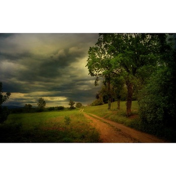 Tablou canvas Peisaj 413, 50x90 cm Tablou canvas Peisaj 413, 50x90 cm