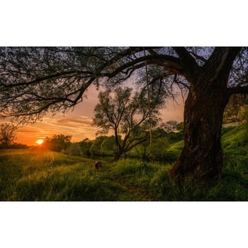 Tablou canvas Peisaj 483, 100x70 cm Tablou canvas Peisaj 483, 100x70 cm