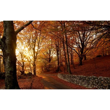 Tablou canvas Peisaj 415, 50x90 cm Tablou canvas Peisaj 415, 50x90 cm