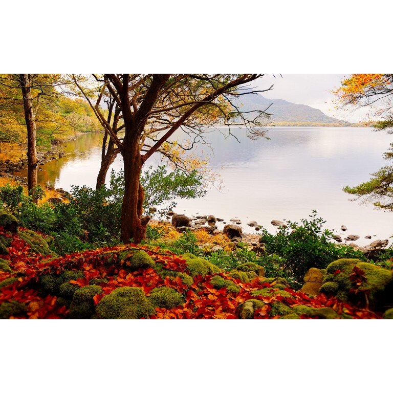 Tablou canvas Peisaj 500, 100x70 cm