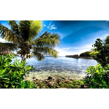 Tablou canvas Peisaj 482, 50x35 cm Tablou canvas Peisaj 482, 50x35 cm