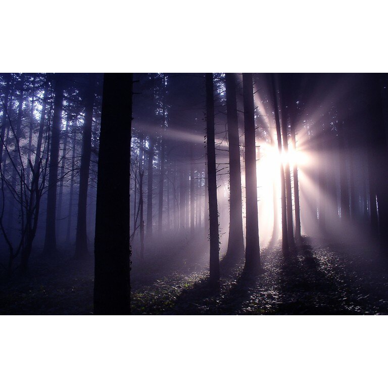 Tablou canvas Peisaj 410, 100x70 cm