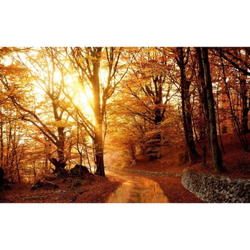 Tablou canvas Peisaj 407, 50x90 cm Tablou canvas Peisaj 407, 50x90 cm