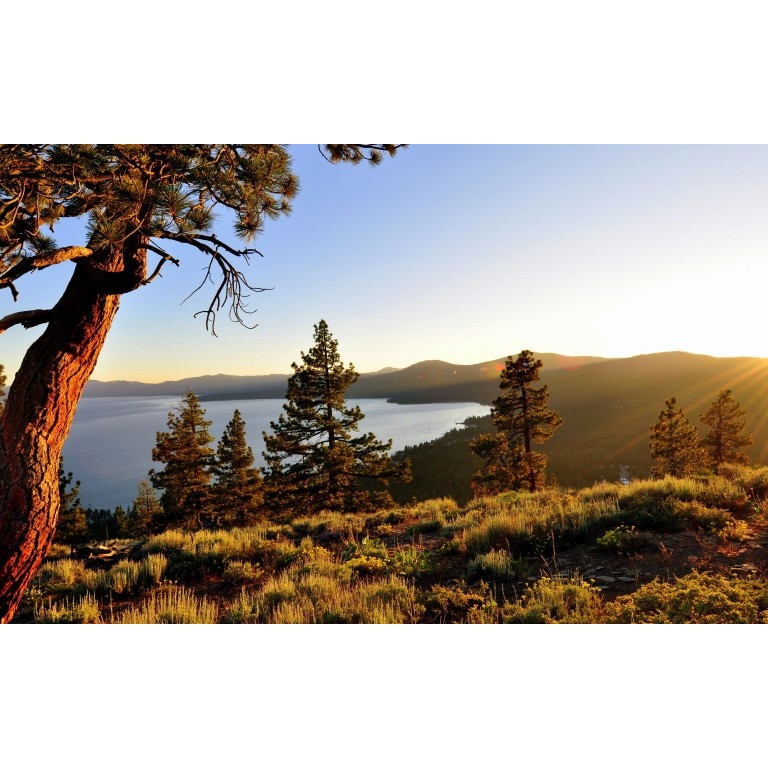 Tablou canvas Peisaj 468, 50x90 cm