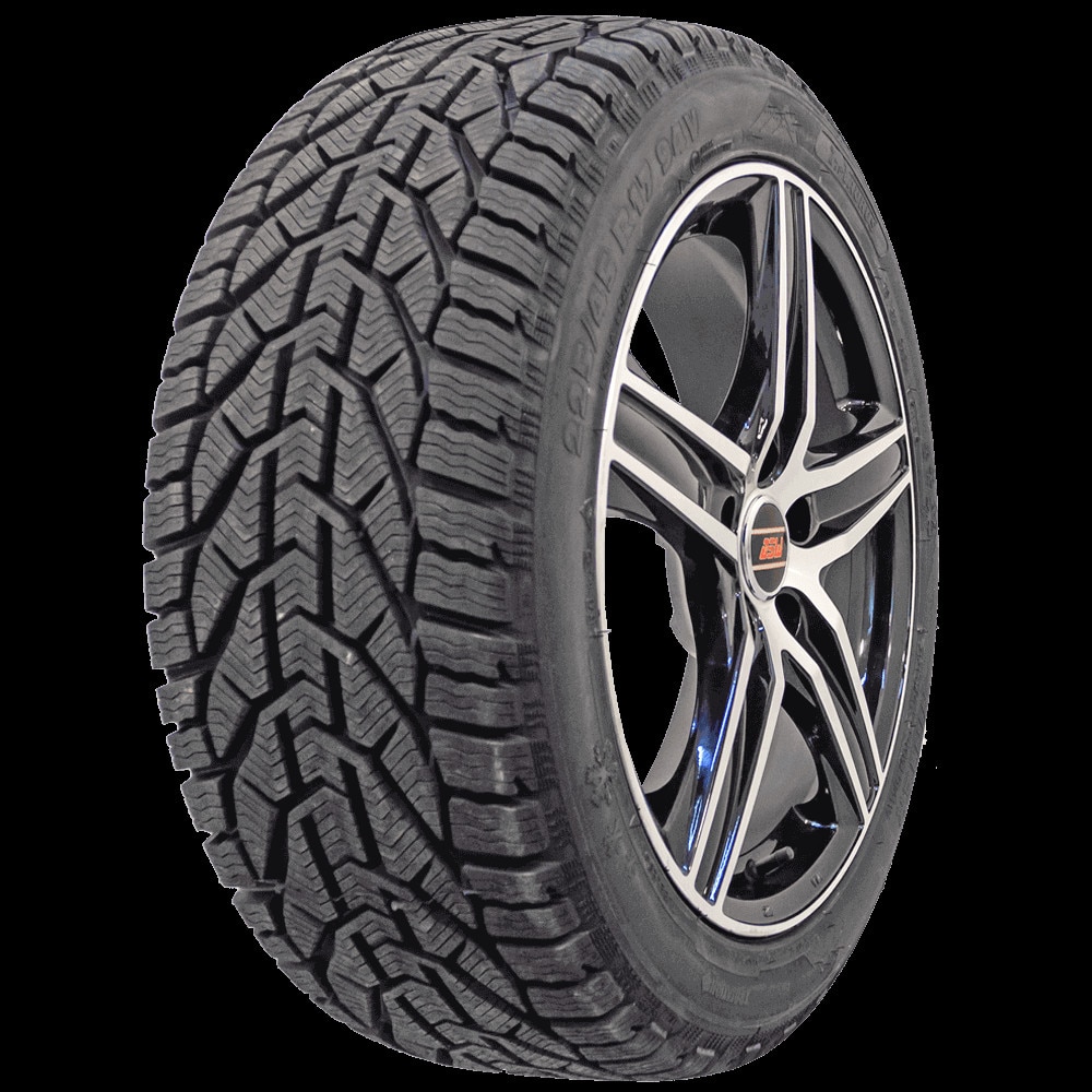 Taurus WINTER M+S 3PMSF T 195/55 R16 87H Gomme invernali — 095454 EAN:  (3528700954548) Acquistare ora!