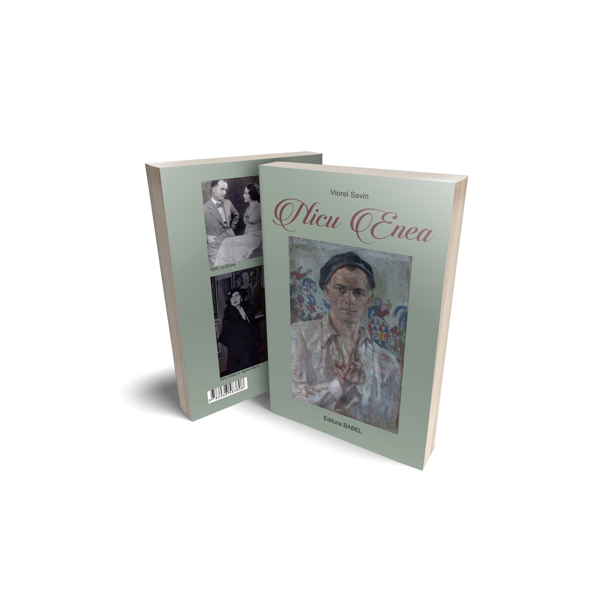 Pictorul Nicu Enea (viata alcatuita din scrisori, articole si poze), Viorel Savin, 306 pagini