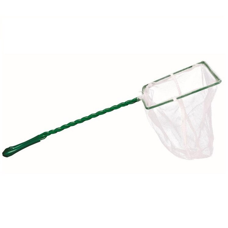 Minciog pesti alb 20 cm. ( 8