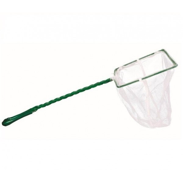 Minciog acvariu alb de 25 cm. ( 10