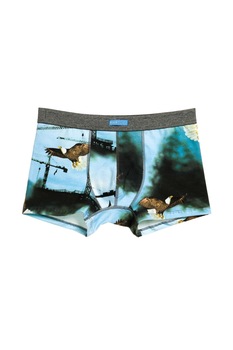 Boxeri barbati BIJU 0500, Imprimare, Orly, Albastru Boxeri barbati BIJU 0500, Imprimare, Orly, Albastru