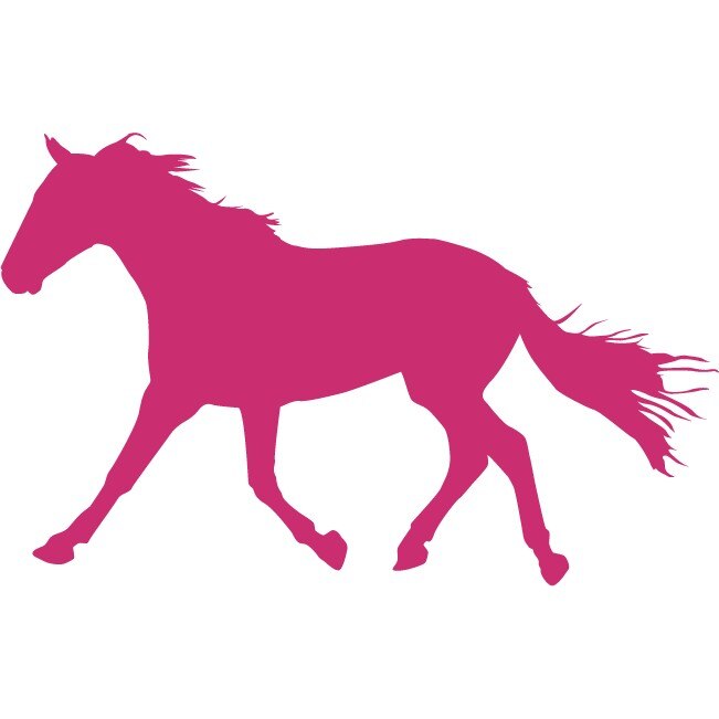 Armasarul vesnic admirat - Sticker Decorativ - Magenta - 175 x 110 cm