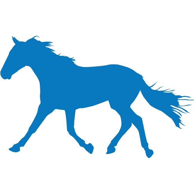 Armasarul vesnic admirat - Sticker Decorativ - Albastru - 175 x 110 cm