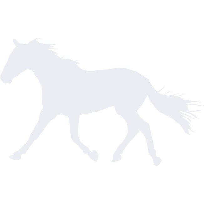 Armasarul vesnic admirat - Sticker Decorativ - Alb polar - 175 x 110 cm