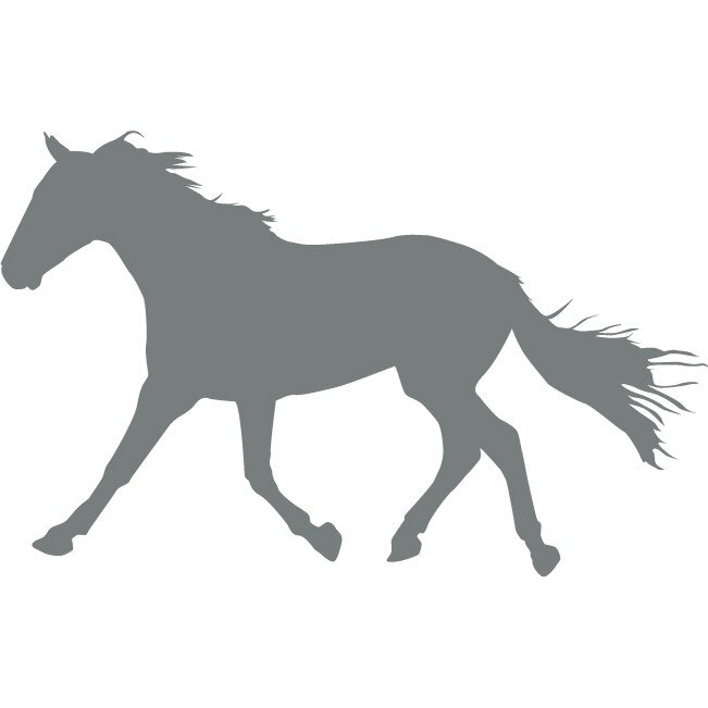 Armasarul vesnic admirat - Sticker Decorativ - Gri Metal - 175 x 110 cm