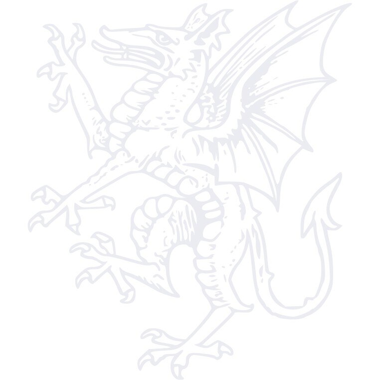 Dragonul - Sticker Decorativ - Alb polar - 83 x 98 cm