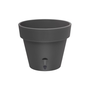 Саксии и цветарници