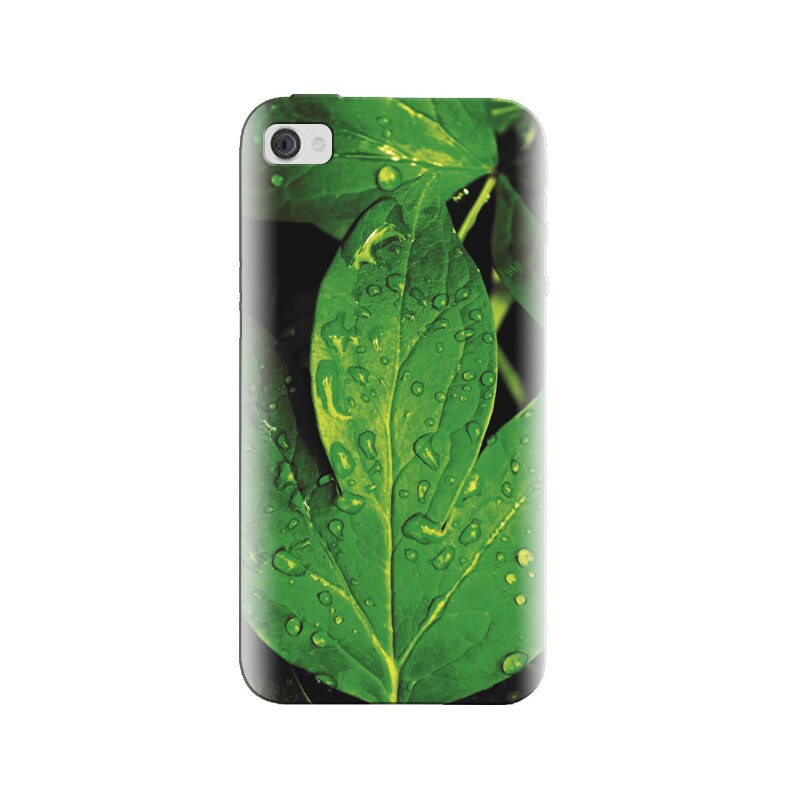 Husa silicon pentru Apple Iphone 4, Leaves And Dew