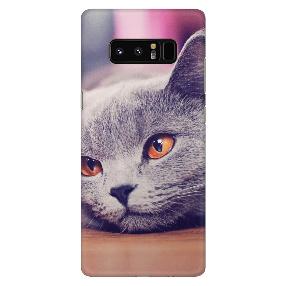 Husa silicon pentru Samsung Galaxy Note 8, British Shorthair Cat Yellow Eyes Portrait