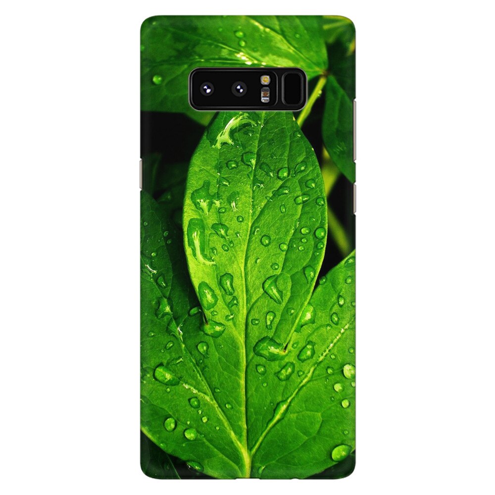 Husa silicon pentru Samsung Galaxy Note 8, Leaves And Dew
