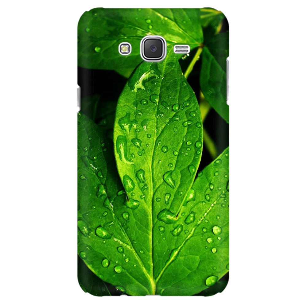 Husa silicon pentru Samsung Galaxy J1 Ace, Leaves And Dew