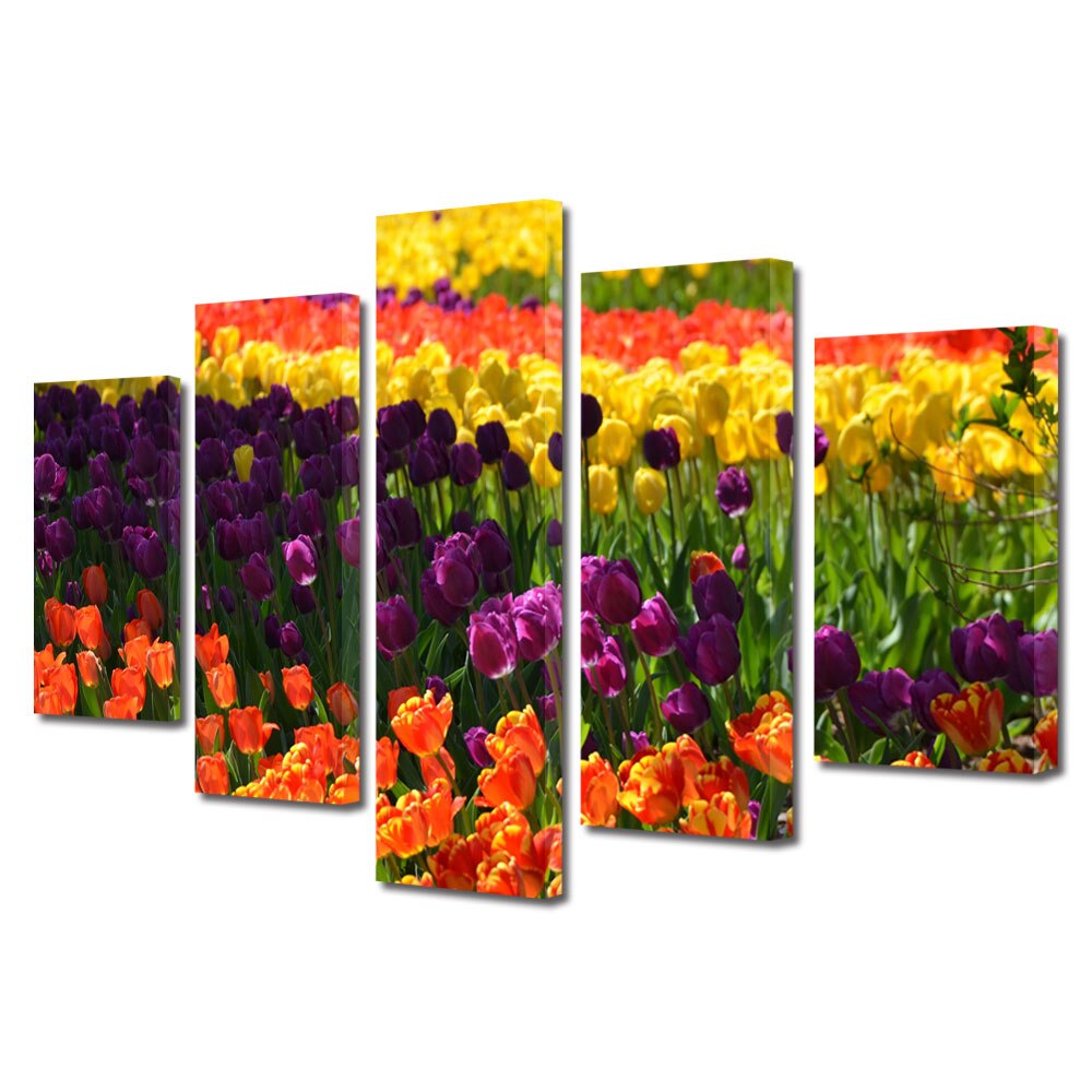 Set Tablouri Multicanvas BTex ArtDecoMag Modern 5 Piese Peisaje Macro Olanda, 60 x 100 cm