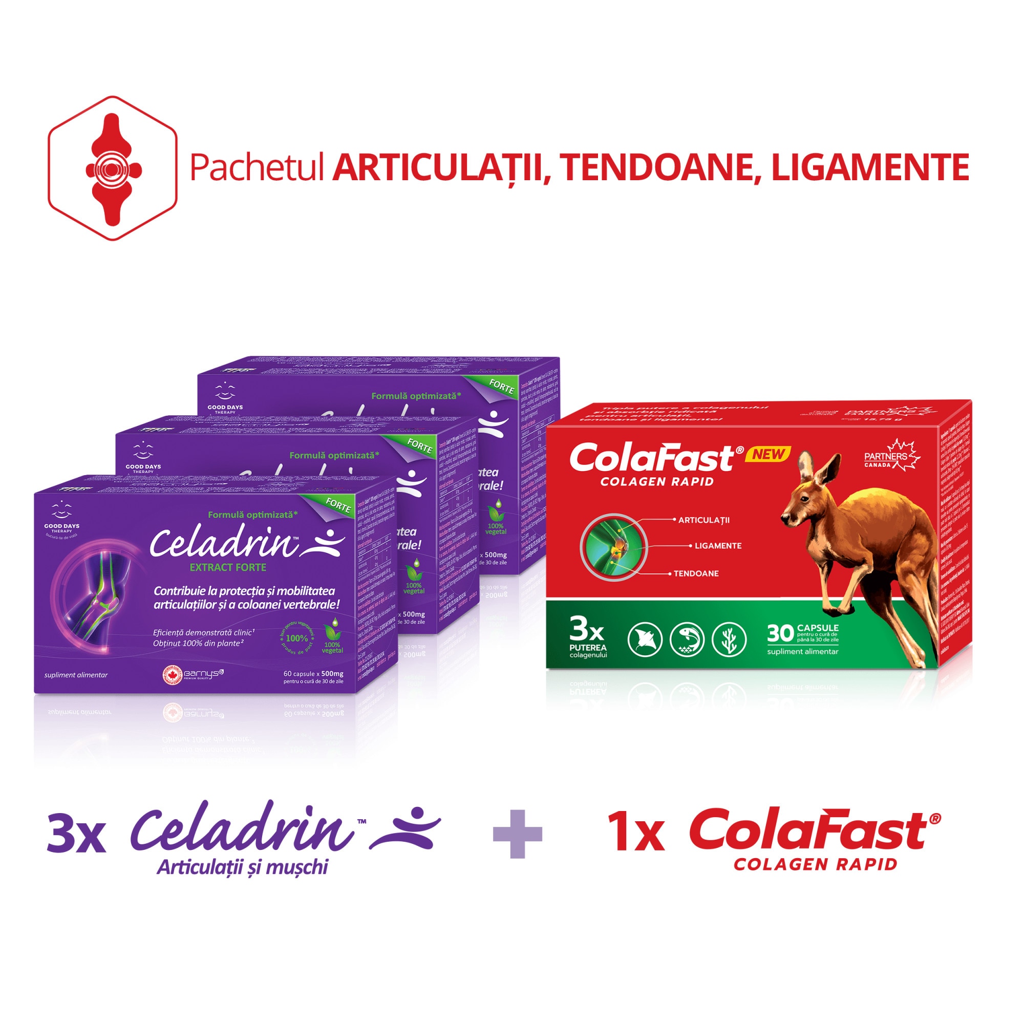 Celadrin extract forte 60cps+ColaFast Colagen Rapid 30cps-cadou