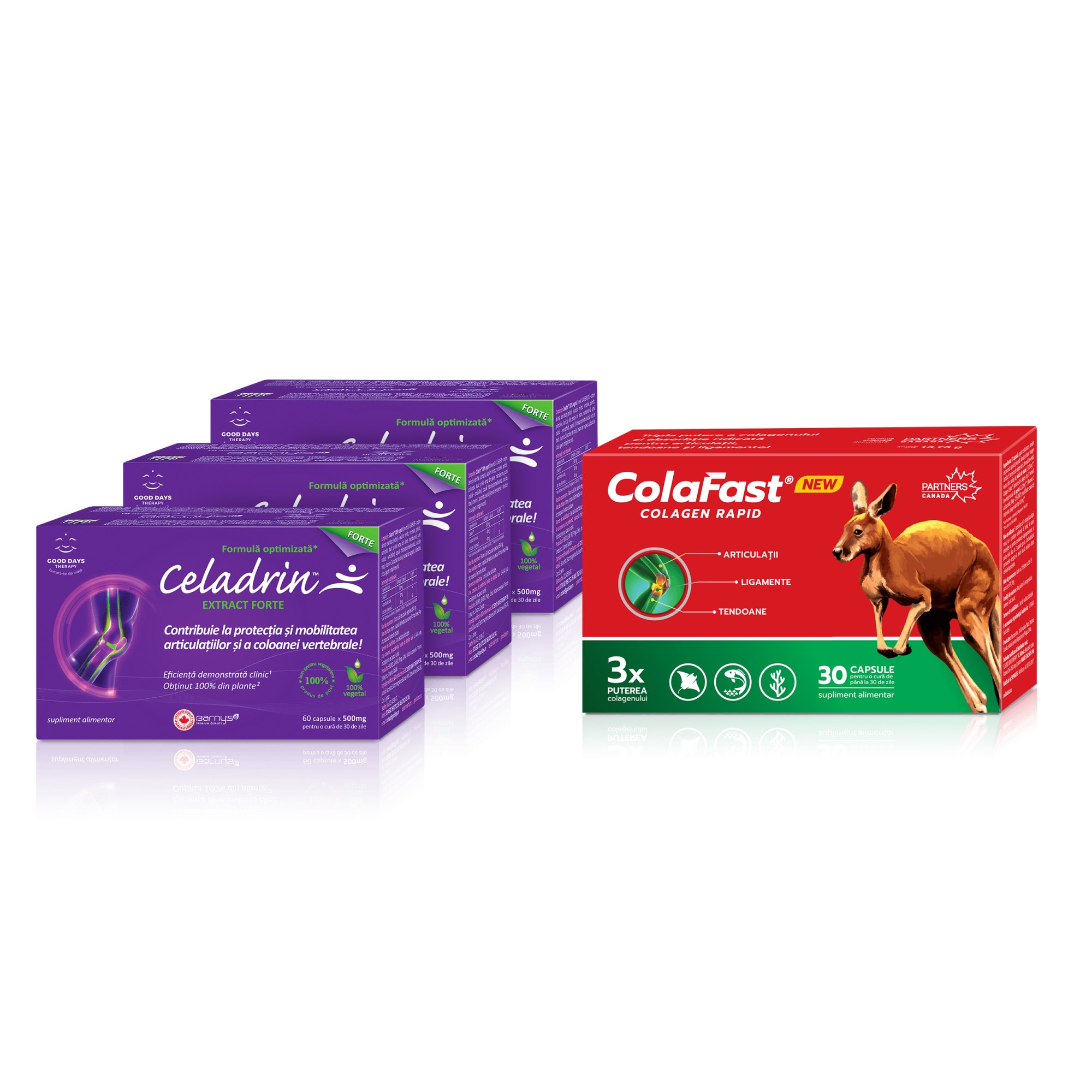 Oferta Celadrin + Colafast | Farmacia Ardealul