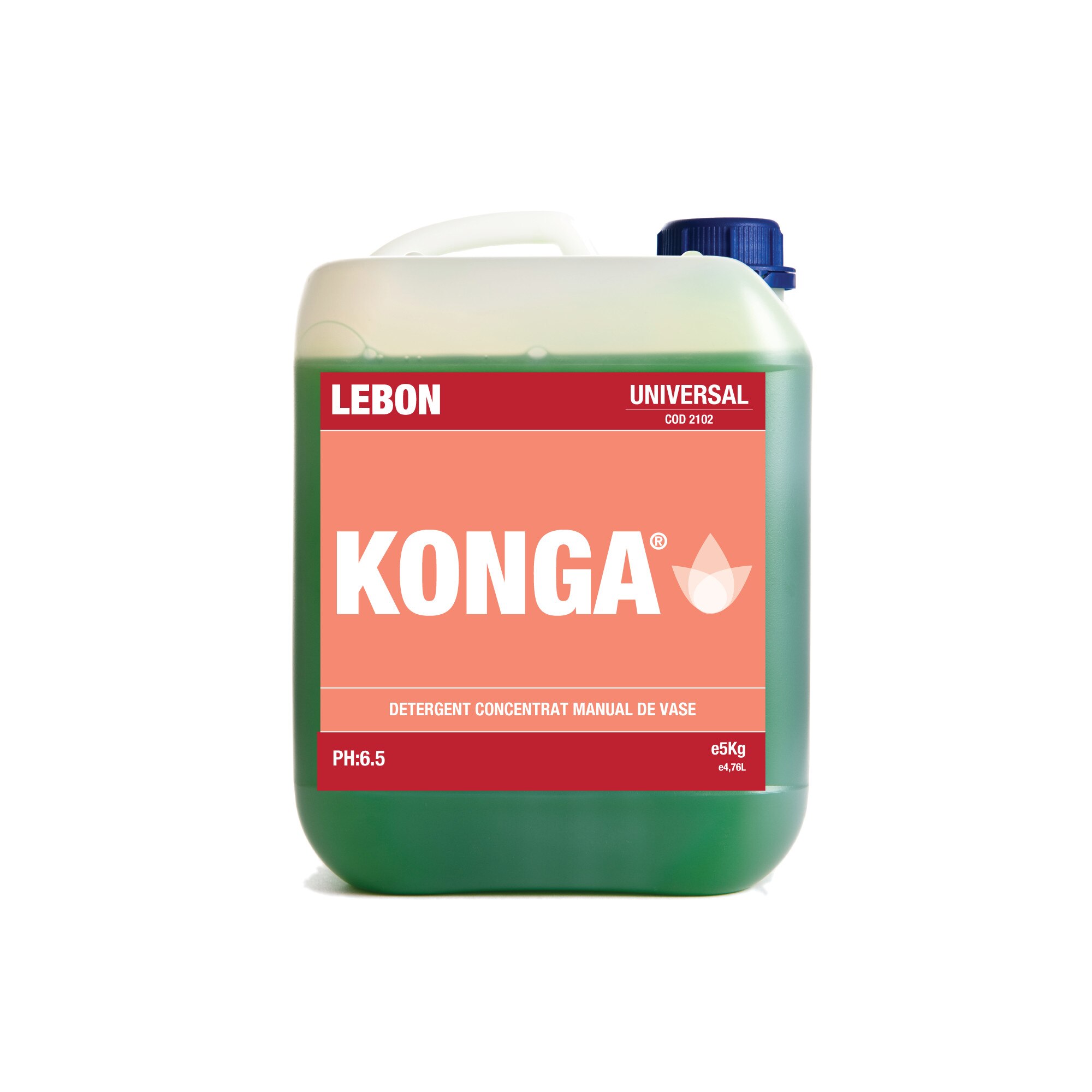 Detergent Concentrat Profesional Pentru Vase si Oale, 5L