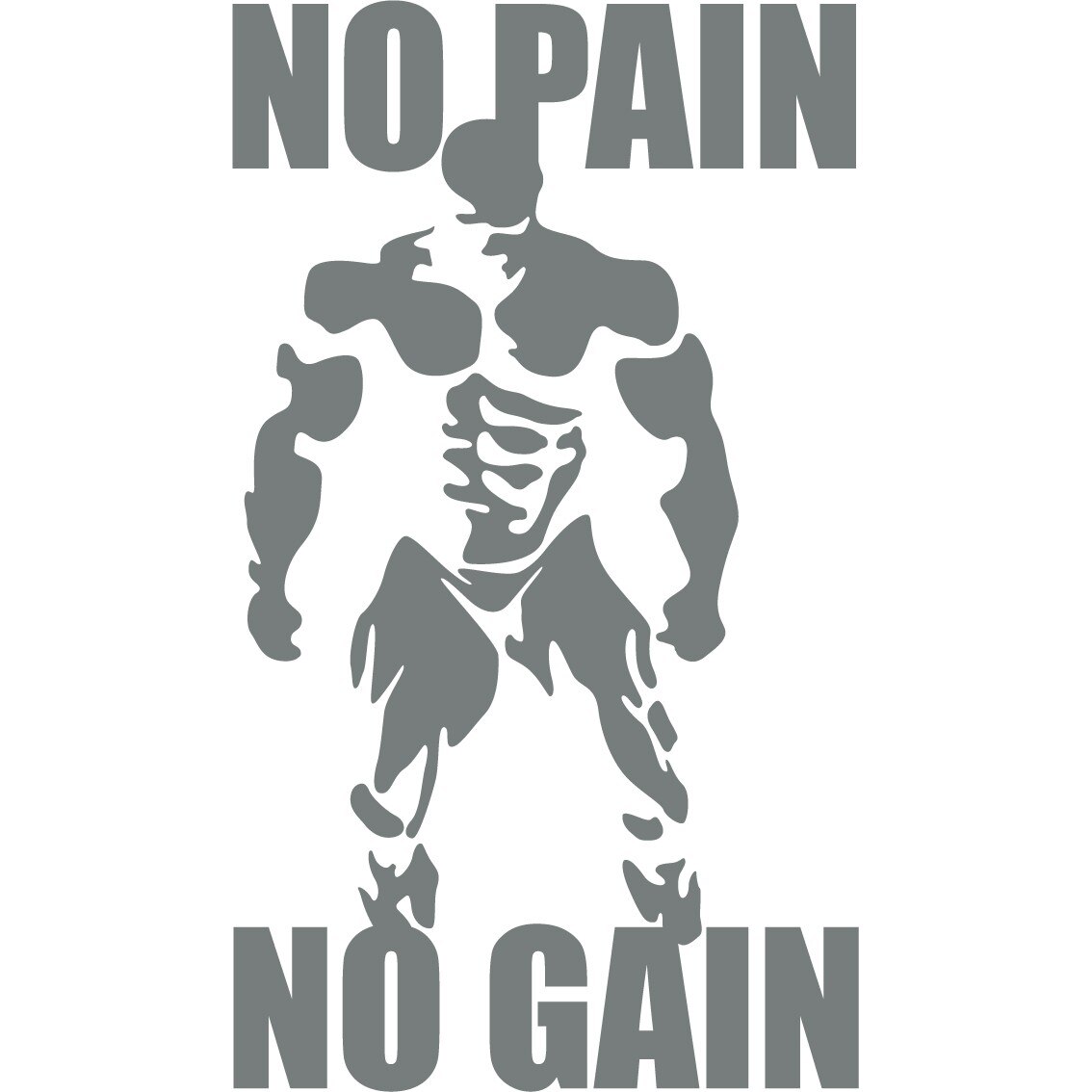 No Pain, No Gain 2 - Sticker Decorativ - Gri Metal - 119 x 208 cm