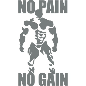 No Pain, No Gain 2 - Sticker Decorativ - Gri Metal - 89 x 156 cm No Pain, No Gain 2 - Sticker Decorativ - Gri Metal - 89 x 156 cm