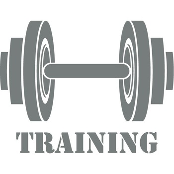 Training - Sticker Decorativ - Gri Metal - 119 x 90 cm Training - Sticker Decorativ - Gri Metal - 119 x 90 cm