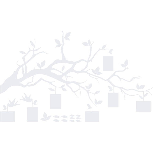 Creanga amintirilor - Sticker Decorativ - Alb polar - 146 x 87