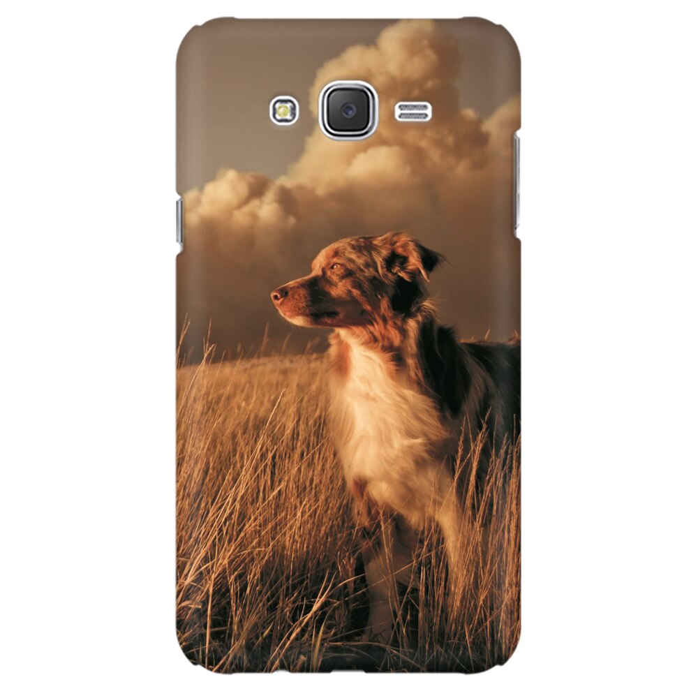 Husa silicon pentru Samsung Galaxy J1 2016, Alone Dog Animal In Grass