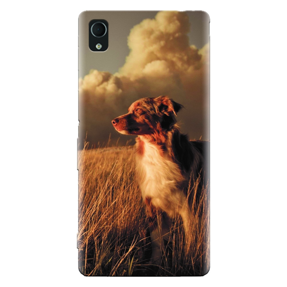 Husa silicon pentru Sony Xperia X, Alone Dog Animal In Grass