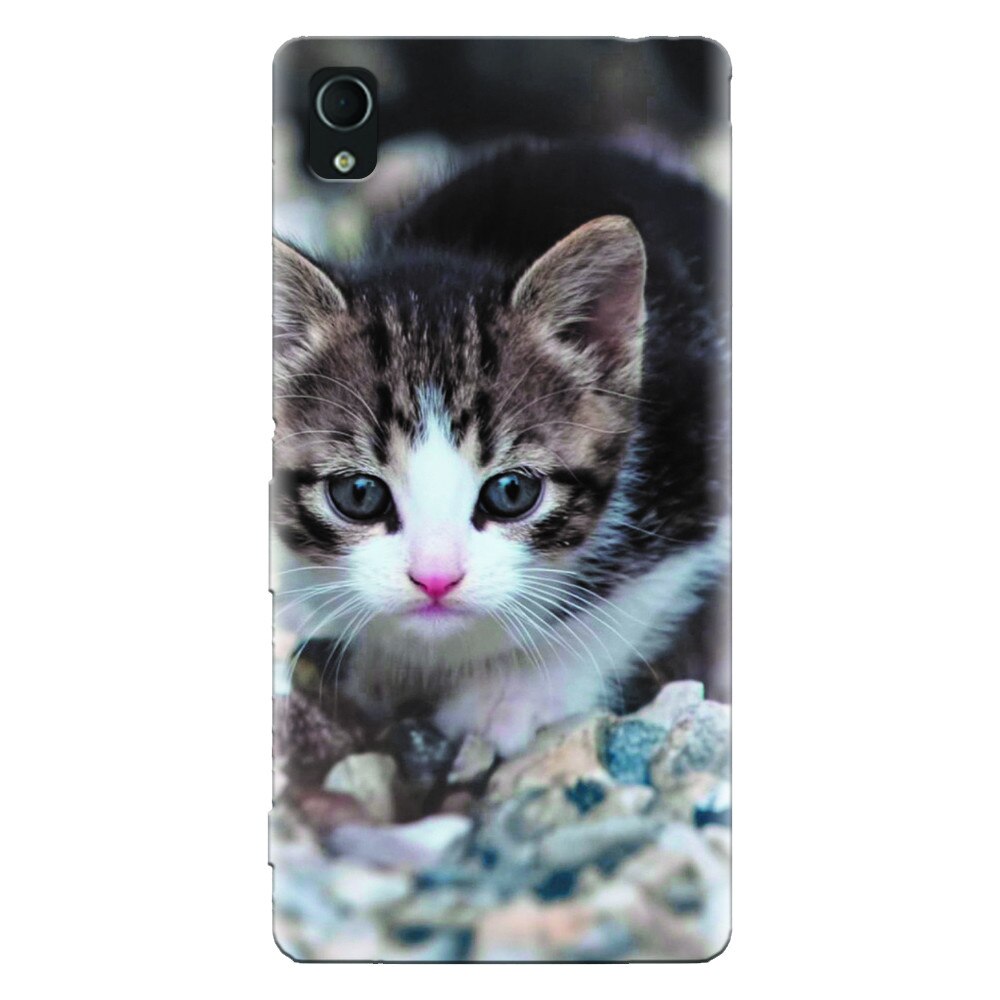 Husa silicon pentru Sony Xperia X, Animal Cat
